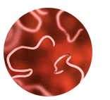 масштабирование